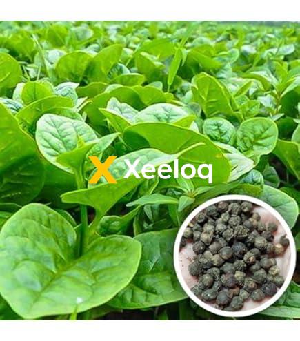 The Full Truth About the bangladeshi helencha shak seeds amazon price